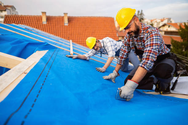 Best Chimney Flashing Repair  in Plum, PA